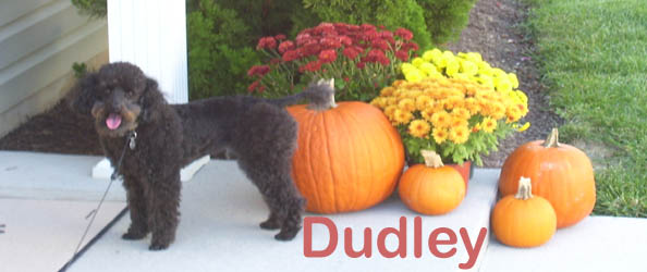 references and Testimonials dudley 110_5115